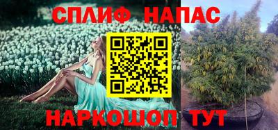 молекула духа Малгобек