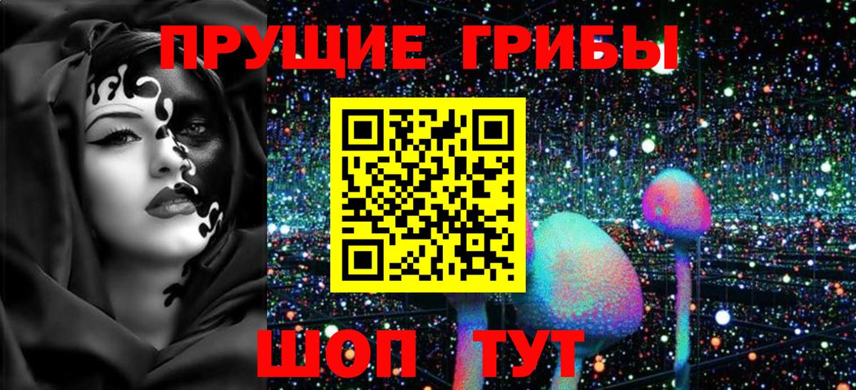 Псилоцибиновые грибы Psilocybe Вольск