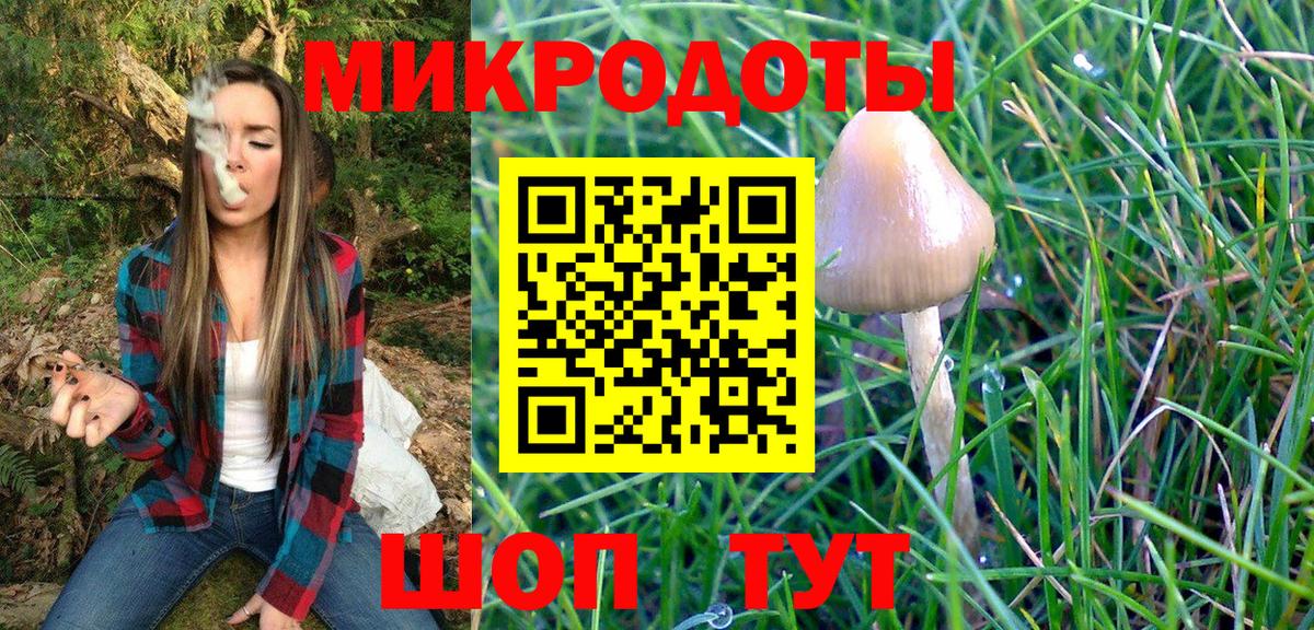 Псилоцибиновые грибы Psilocybine cubensis  Вход с VPN  Вольск  Псилоцибиновые грибы ЛСД 